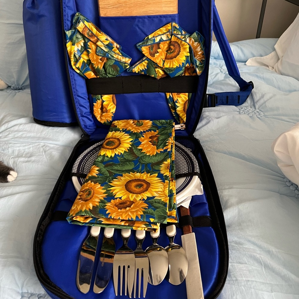 Backpack picnic basket